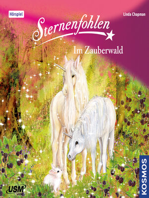 cover image of Sternenfohlen, Teil 13